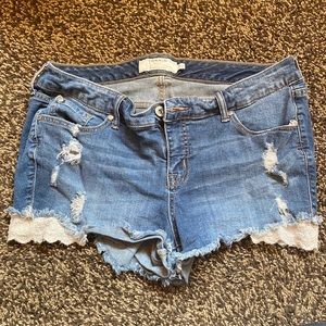 Torrid Shorts